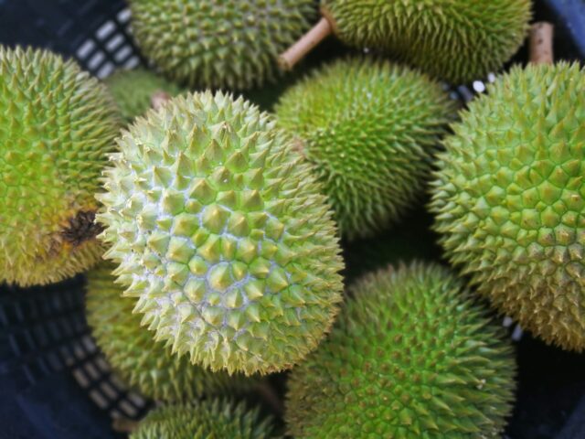 Discover Durian Express Delivery: Unlock the Ultimate Indulgence