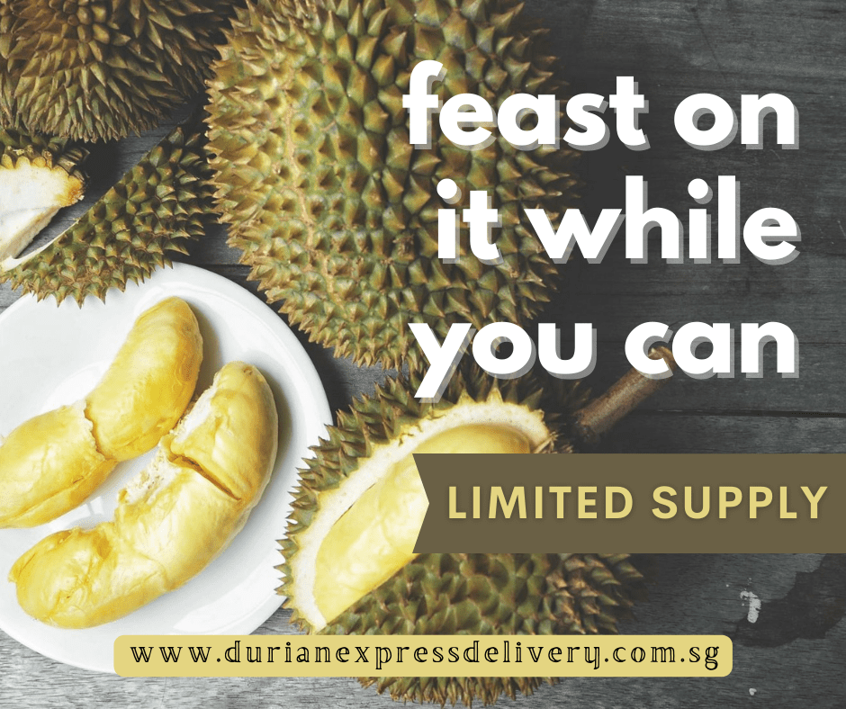 Durian party_celebrate with a durian feast