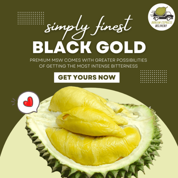 Black gold durian